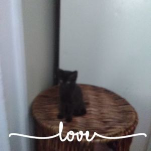 Meet your Posher, Keisha